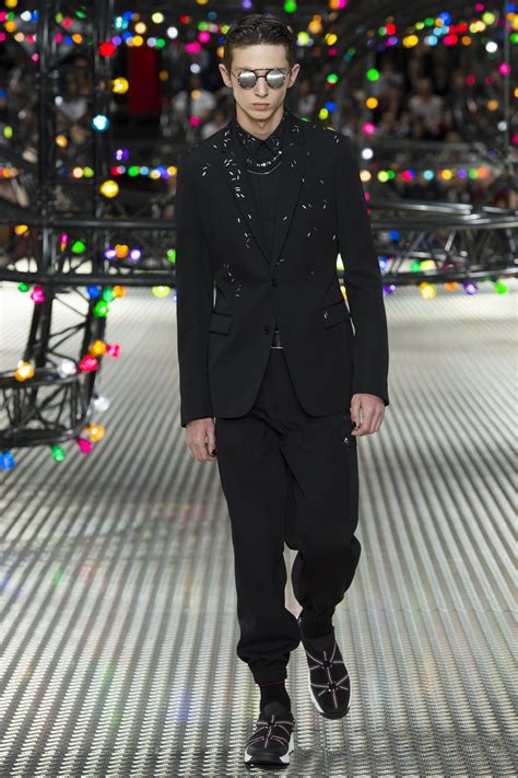 Dior Homme: Spring 2017 